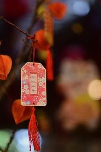 cá cược bóng đá lừa đảo